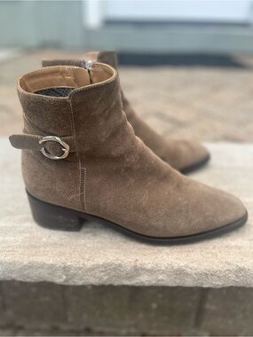 Aquatalia Taupe Suede Ankle Booties with Silver Buckle